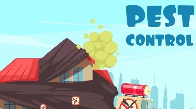 bed-bugs-control